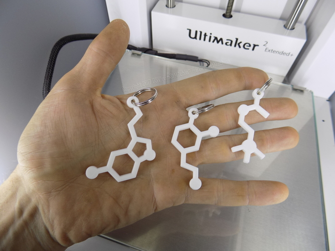 container 3 beloved chemicals keyrings 3d printing 124885