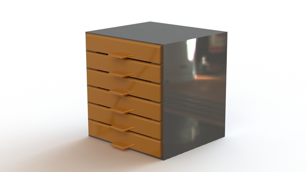 Organizador 1G