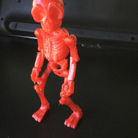 Small Skully Articulated Skeleton  3D Printing 125098