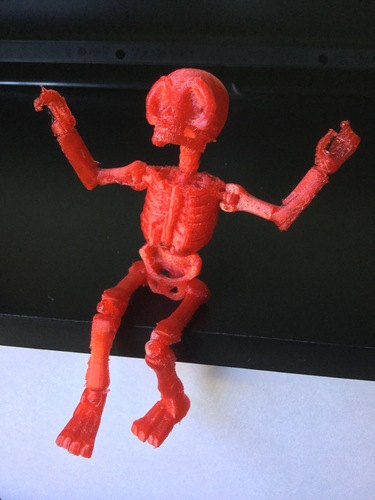 Skully Articulated Skeleton  3D Print 125101
