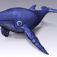 Small Whale 3D Printing 125755