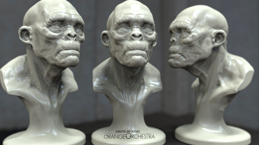 Alternate Chimp 3D Print 126390