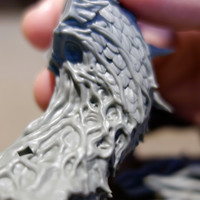Forest Dragon - Thumbnail 7