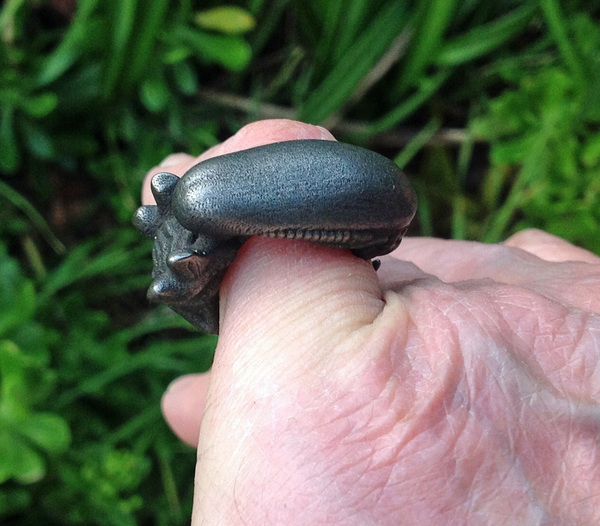 Alien Ring