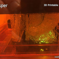 Jasper - Thumbnail 15