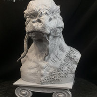 Jasper - Thumbnail 18