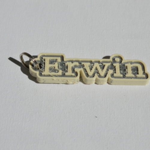 "Erwin" 3D Print 127535