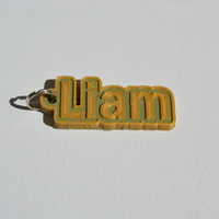 Small "Liam" 3D Printing 127605