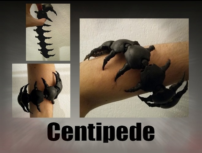 Centipede 3D Print 127791