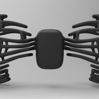 ChestBone - Thumbnail 1