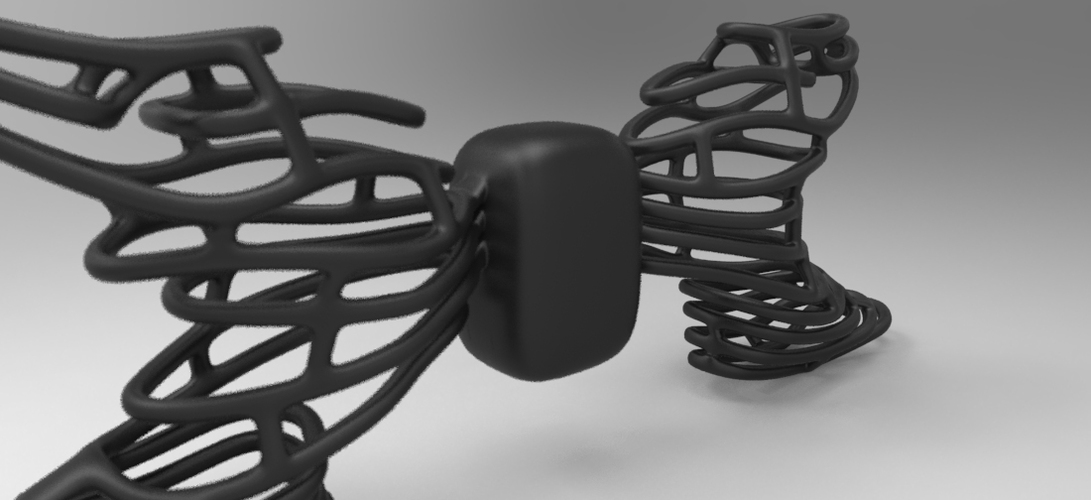ChestBone 3D Print 12794