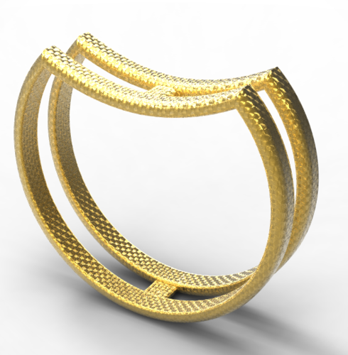 double single ring 3D Print 128002