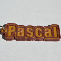 Small "Pascal" 3D Printing 128165