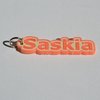 Small "Saskia" 3D Printing 128199