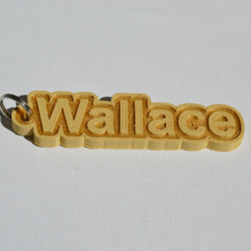 "Wallace" 3D Print 128243