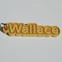 Small "Wallace" 3D Printing 128243
