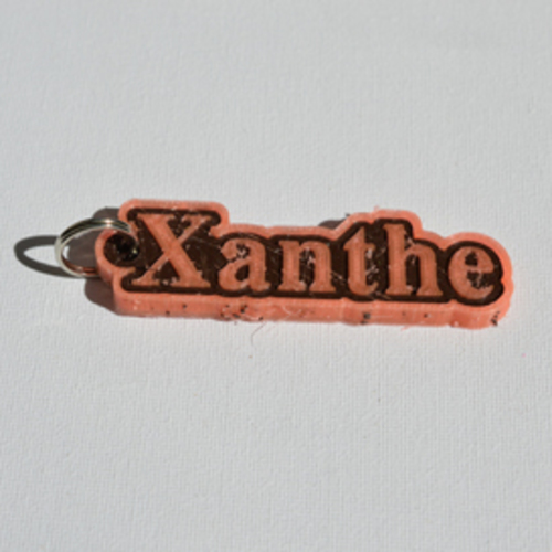 "Xanthe" 3D Print 128249