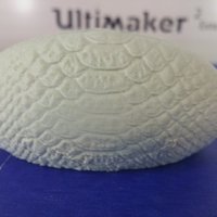 Small Faux Gatro/Croc skin Clutch Bag 3D Printing 128577