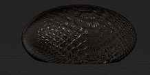 Image 128583