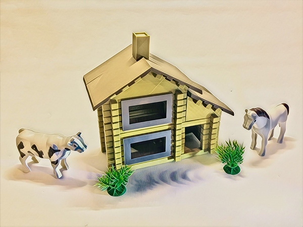 TOY HOUSE CONSTRUCTOR