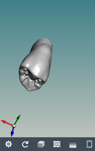 Anatomia dientes 3D Print 129406