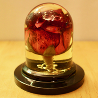 Eternal Rose - Thumbnail 2