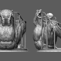 Introvert - Thumbnail 2