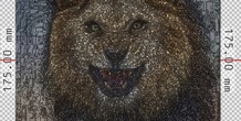 Image 129903