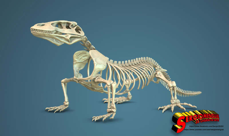 Komodo Dragon Skeleton 1:5 Scale