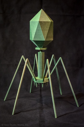 Bacteriophage - T4 Virus 3D Print 130176