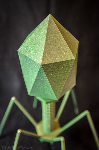 Bacteriophage - T4 Virus 3D Print 130177
