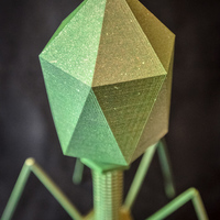 Bacteriophage - T4 Virus - Thumbnail 2