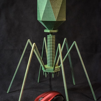 Bacteriophage - T4 Virus - Thumbnail 5
