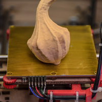 Winged Gourd - Thumbnail 2