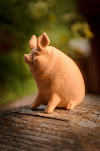 Garden Pig 3D Print 130232