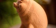 Image 130232