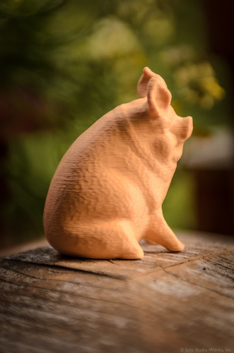 Garden Pig 3D Print 130233
