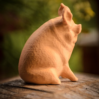 Garden Pig - Thumbnail 2