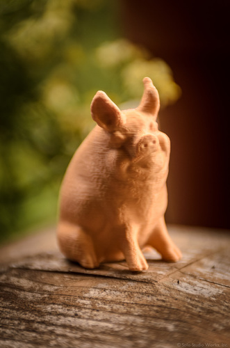 Garden Pig 3D Print 130234