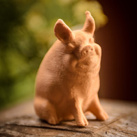 Garden Pig - Thumbnail 3