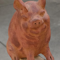 Garden Pig - Thumbnail 4