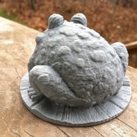 Garden Toad - Thumbnail 2