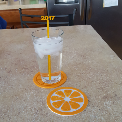 Citrus Fruit Slice Coaster 3D Print 130742
