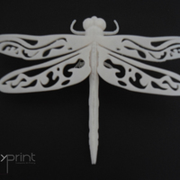 Small Dragonfly 3D Printing 130848