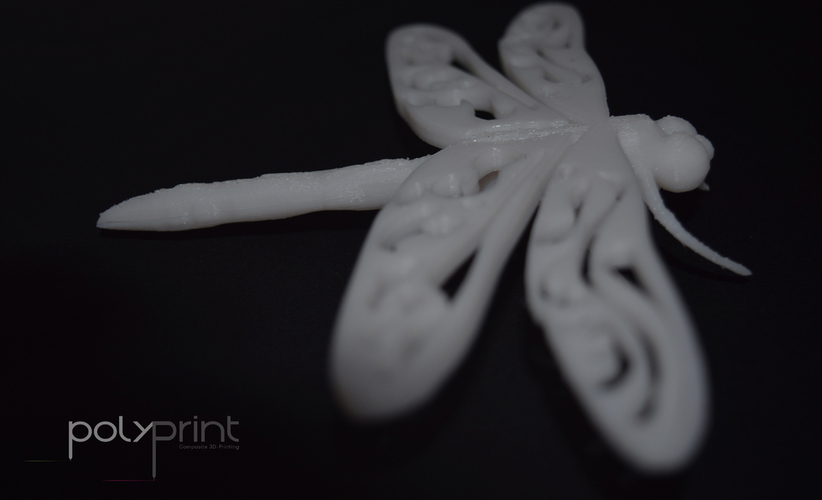 Dragonfly 3D Print 130849