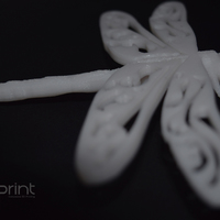 Dragonfly - Thumbnail 2