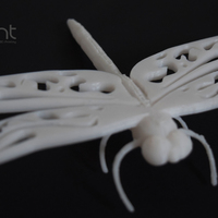 Dragonfly - Thumbnail 4