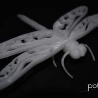 Dragonfly - Thumbnail 5