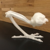 Alizarin Crimson - Thumbnail 2