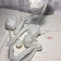 Alizarin Crimson - Thumbnail 6